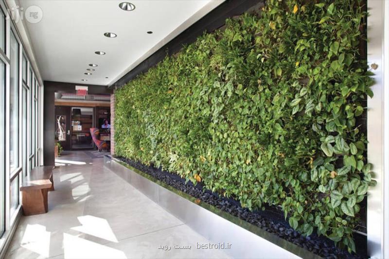 دیوار سبز مصنوعی و مزیت های آن