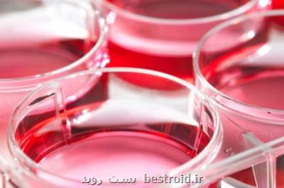 درمان نارسایی حاملگی با سلولهای بنیادی