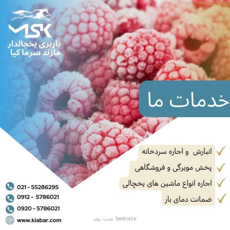 ضرورت حمل مواد غذایی منجمد