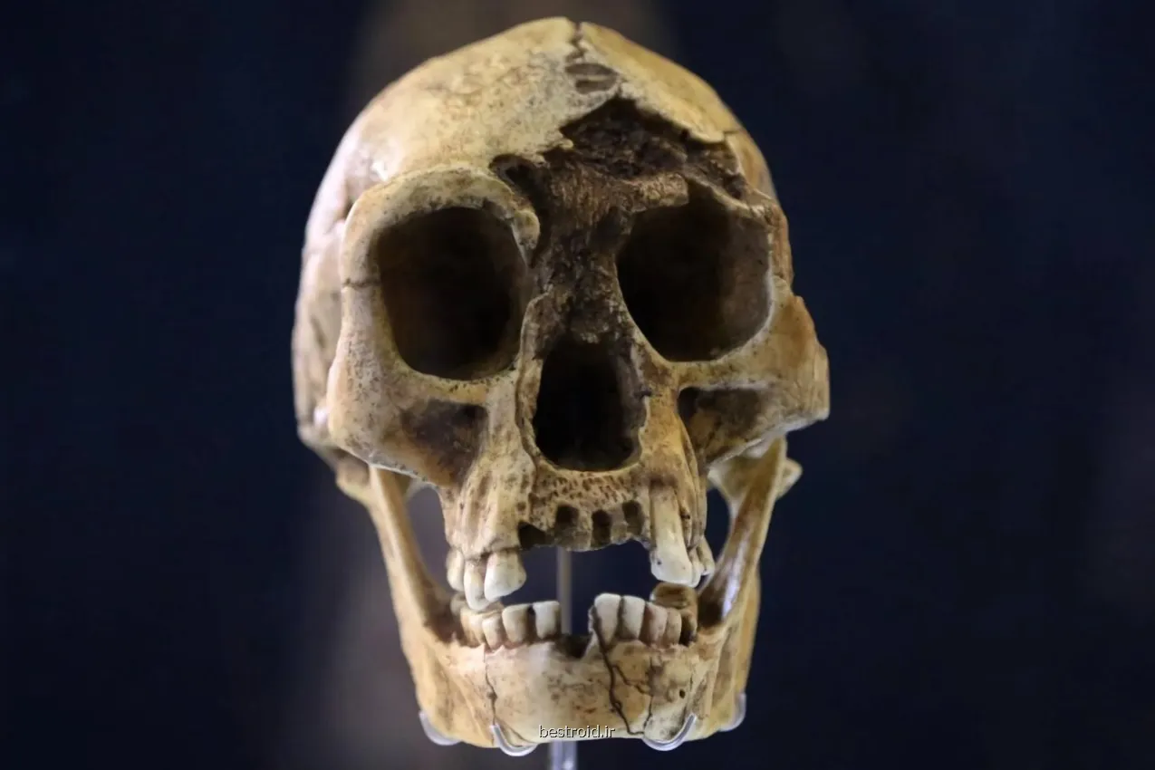 خشکسالی، گرسنگی و مواجهه با انسان خردمند، آخرین فصل زندگی هابیت ها را رقم زد