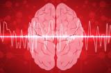 سیستم جدید هوش مصنوعی علائم مغزی را به سخنرانی مبدل می كند
