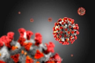 ادعای ویروس شناسی چینی رد شد